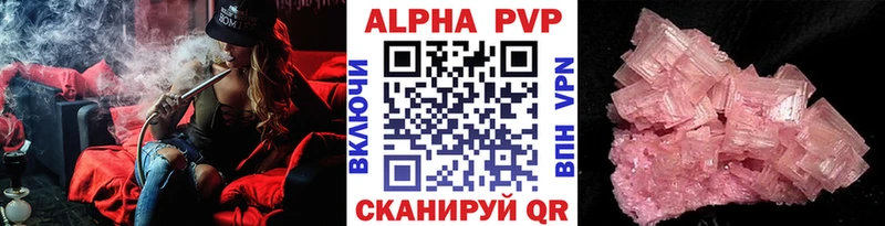 A PVP СК КРИС  Долгопрудный 