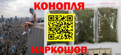 индика Бийск