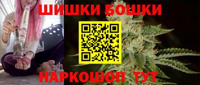 индика Бийск