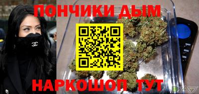 индика Бийск