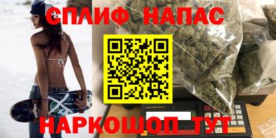 индика Бийск