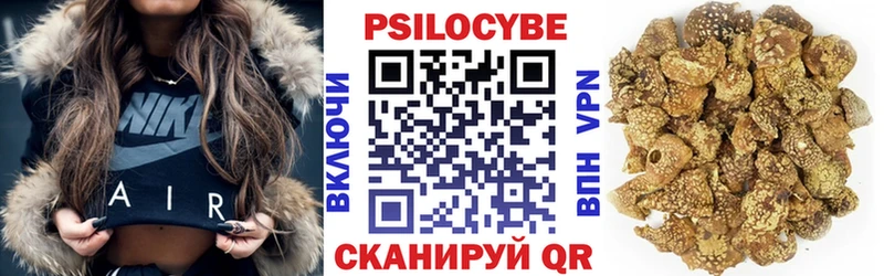 нарко площадка наркотические препараты  Долгопрудный  MEGA рабочий сайт  Псилоцибиновые грибы MAGIC MUSHROOMS  даркнет сайт 