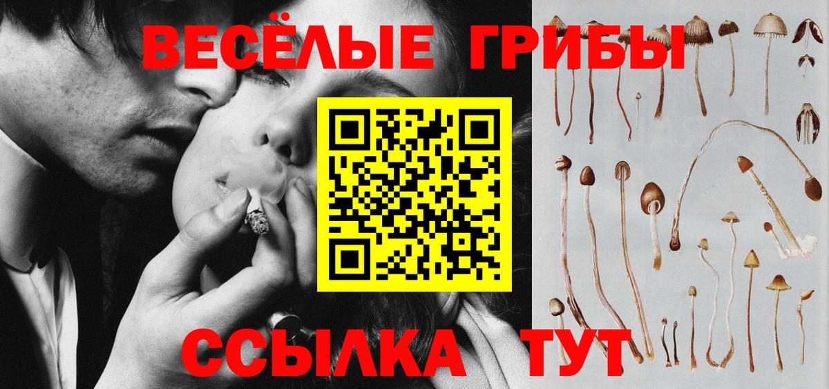 Псилоцибиновые грибы Psilocybe  Галлюциногенные грибы Cubensis  Долгопрудный  Вход с VPN 